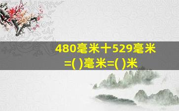 480毫米十529毫米=( )毫米=( )米